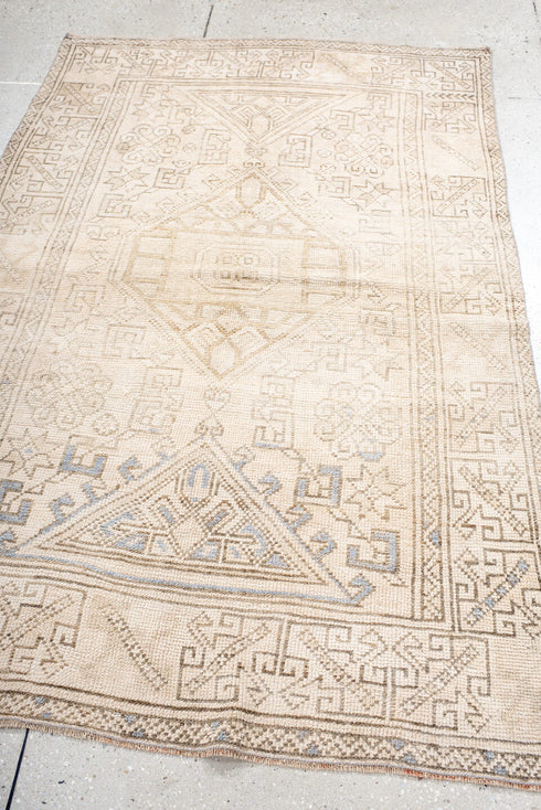 Antique Anatol Area Rug (3' x 6')