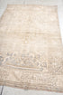 Antique Anatol Area Rug (3' x 6')