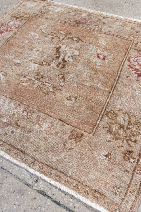 Antique Anatol Area Rug (2' x 2')