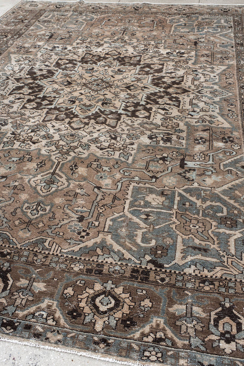 Vintage Baktiary Area Rug (9' x 12')