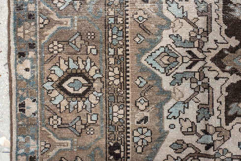 Vintage Baktiary Area Rug (9' x 12')