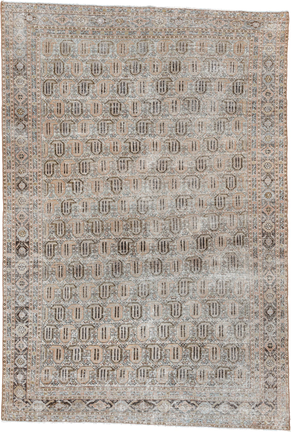 6' x 9' one-of-a-kind handmade antique Afshar medium size rug. Color palette: ivory, taupe, blush, charcoal, sage, camel