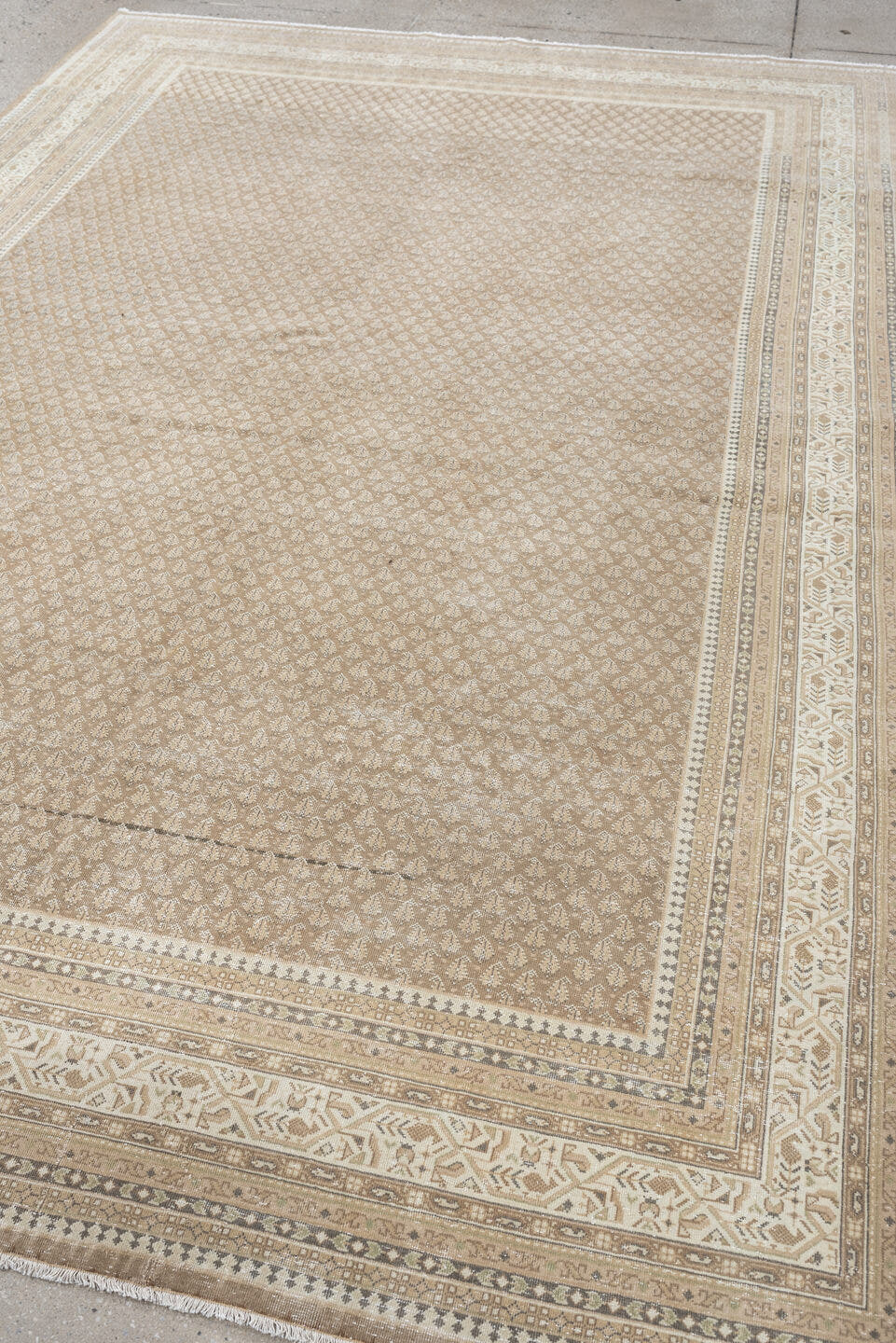 6' x 9' one-of-a-kind handmade antique Mir large size rug. Color palette: taupe, ivory, sand, beige, camel, soft brown