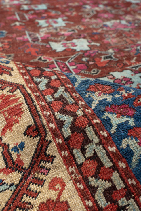 Vintage Anatol Area Rug (4' x 6')