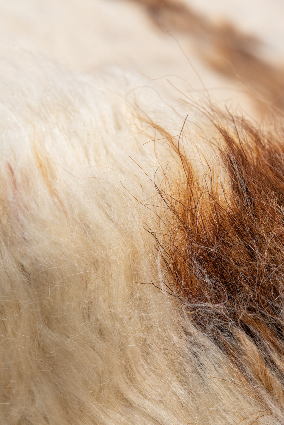 5' x 8' one-of-a-kind handmade vintage Moroccan medium size rug. Color palette: antiquewhite, brown, gray, light gray, linen