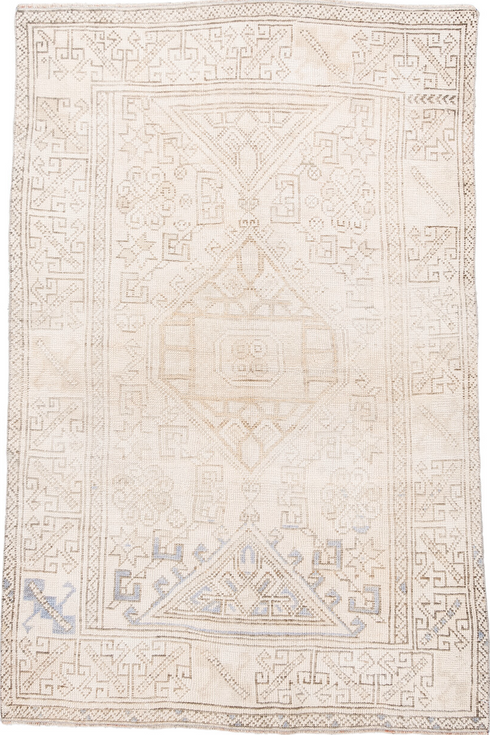 Antique Anatol Area Rug (3' x 6')