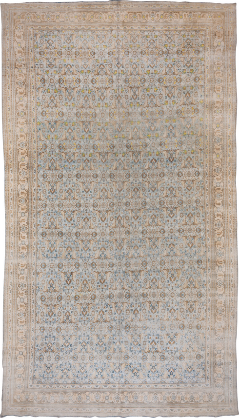 Antique Agra Area Rug (9' x 17')