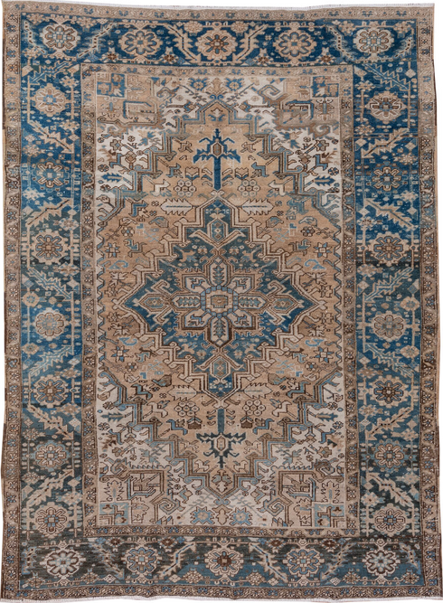 Antique Heriz Area Rug (6' x 9')