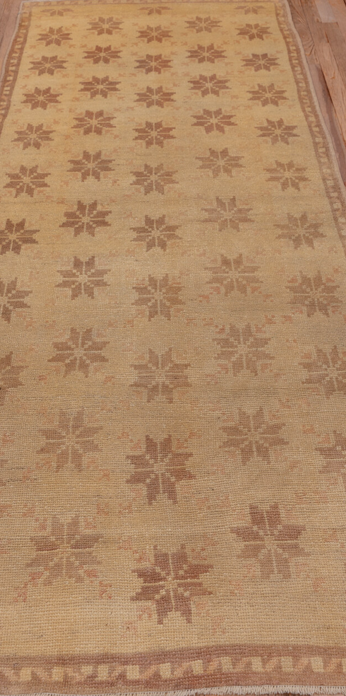 Vintage Tulu Runner Rug (3' x 10')