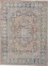 Antique Mahal Area Rug (9' x 12')
