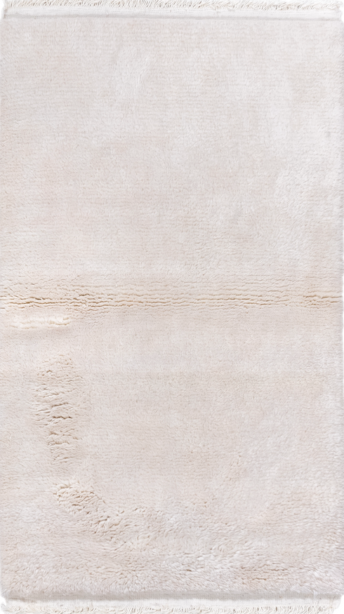 Vintage Shag Area Rug (3' x 5')