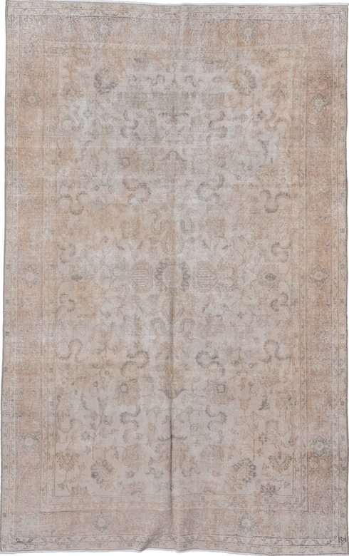 Antique Sparta Area Rug (6' x 10')