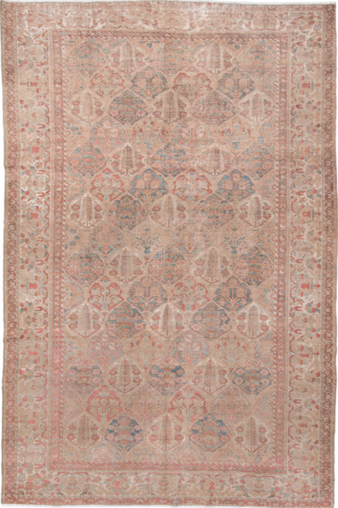 Antique Baktiary Area Rug (6' x 9')