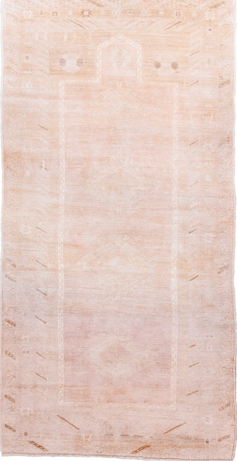 Antique Anatol Runner Rug (3' x 6')