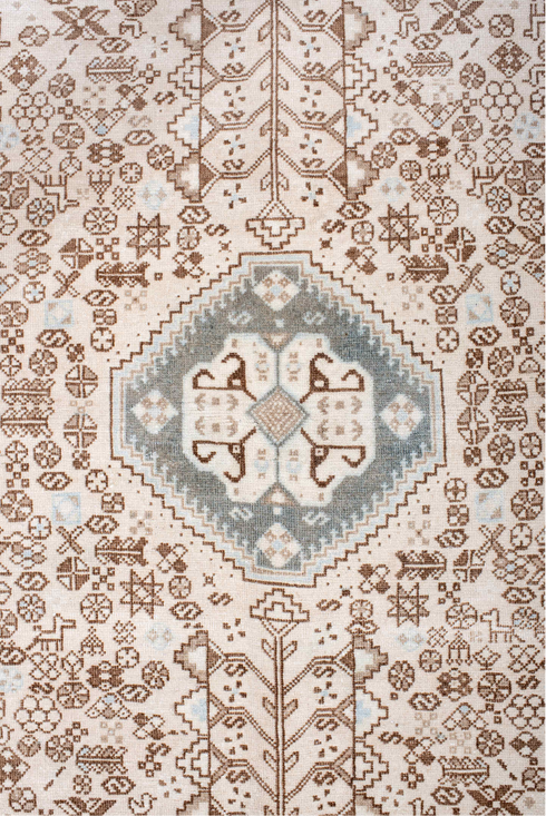 Antique Joshegan Area Rug (4' x 6')