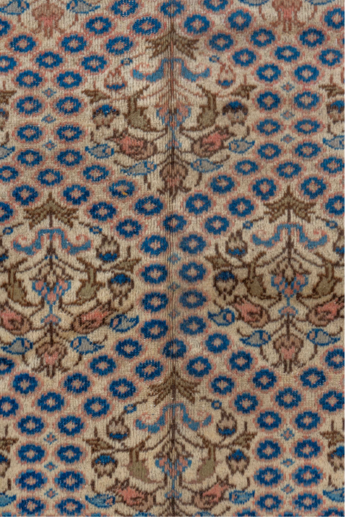 Vintage Sivas Area Rug (7' x 12')