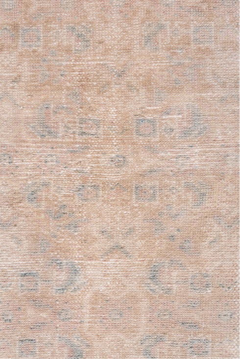 Antique Malayer Runner Rug (2' x 9')