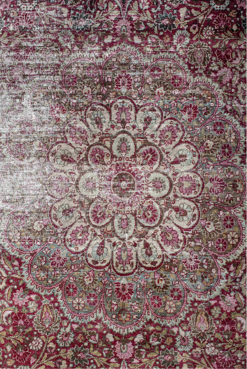 Antique Meshed Area Rug (4' x 6')