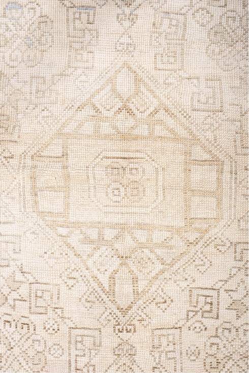 Antique Anatol Area Rug (3' x 6')