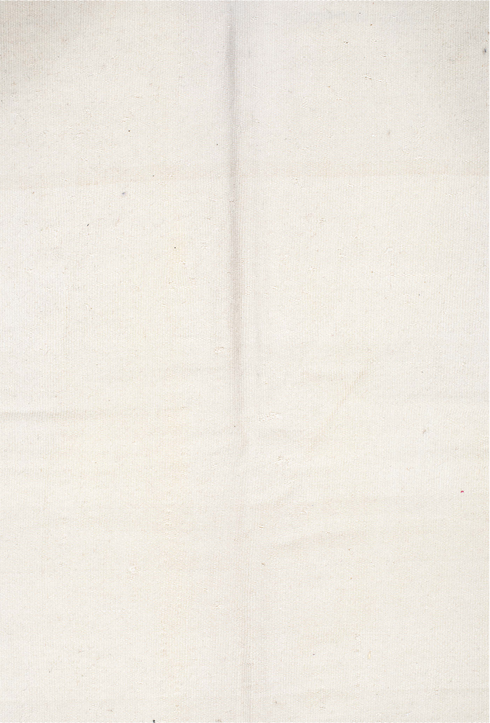 Vintage Kilim Area Rug (11' x 13')