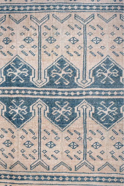 Antique Anatol Area Rug (3' x 6')