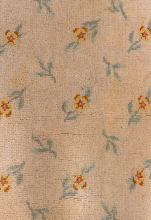 Vintage Savonnerie Area Rug (6' x 10')