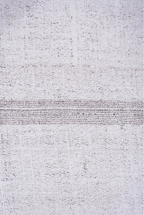 Antique Flatweave Area Rug (10' x 15')