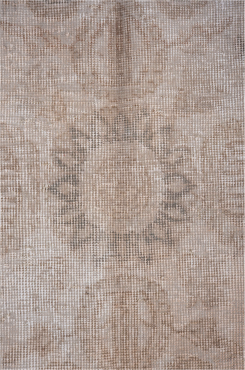 Antique Sparta Area Rug (6' x 10')