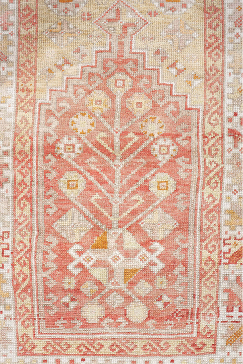 Vintage Anatol Area Rug (3' x 5')