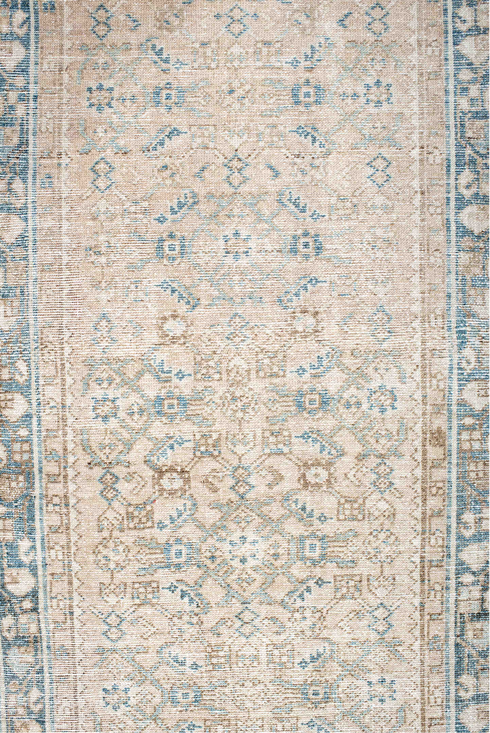 Antique Malayer Runner Rug (2' x 12')