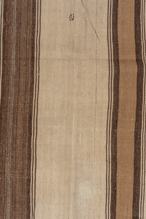 Vintage Kilim Area Rug (5' x 11')