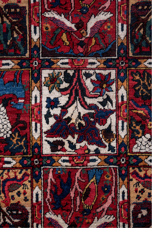 Vintage Baktiary Area Rug (5' x 8')