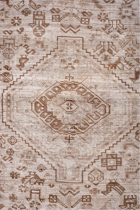 Antique Shiraz Area Rug (6' x 9')