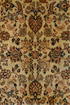 Antique Sarouk Area Rug (8' x 11')