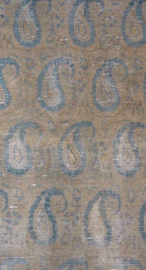 Antique Sivas Area Rug (9' x 12')