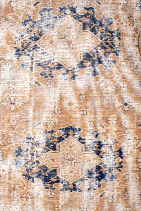 Vintage Sparta Area Rug (6' x 10')