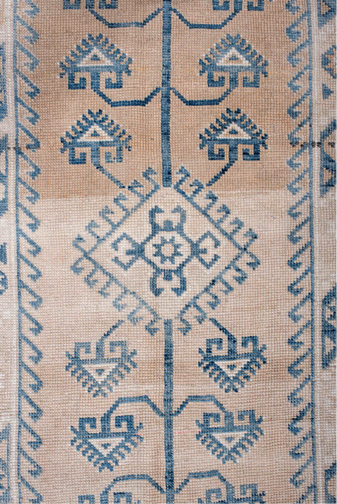 Antique Anatol Area Rug (4' x 6')