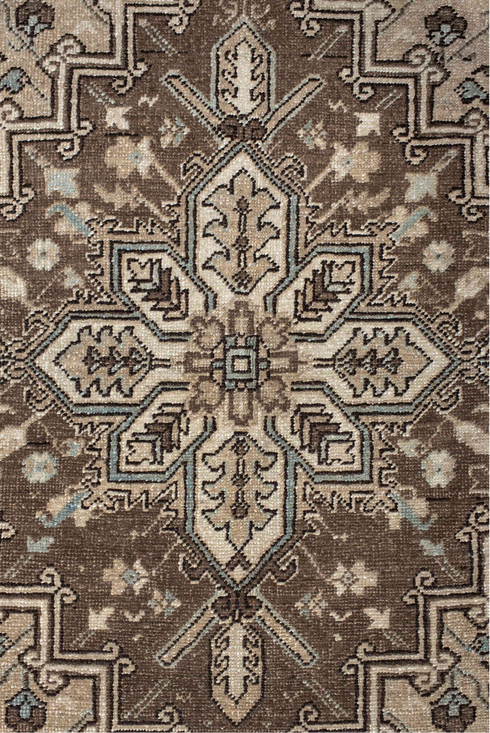 Antique Heriz Area Rug (6' x 9')