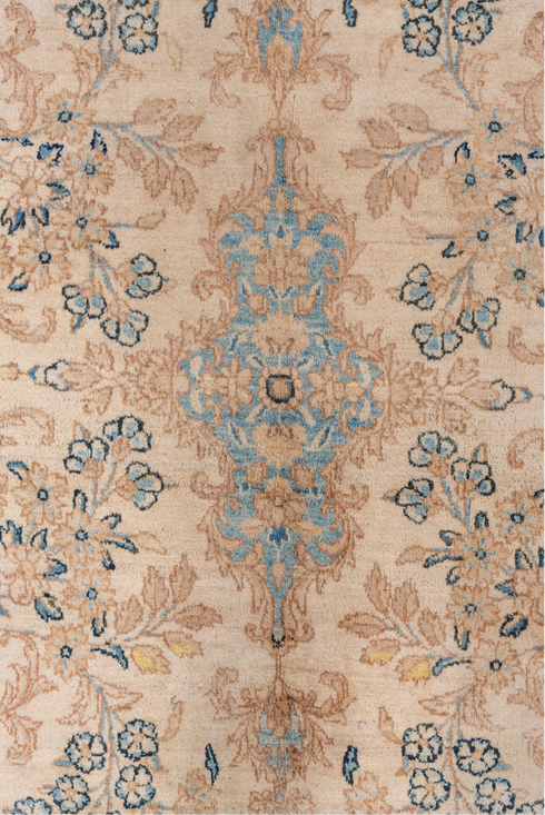 Antique Kerman Area Rug (7' x 9')