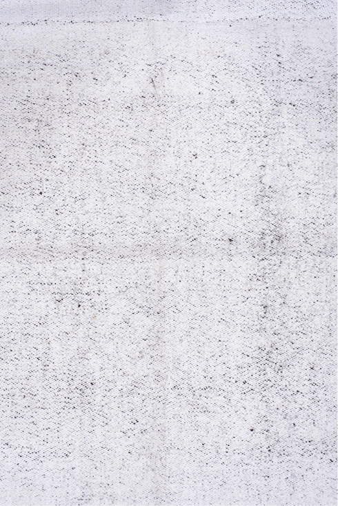 Antique Flatweave Area Rug (8' x 15')