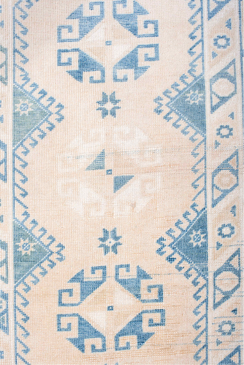 Antique Anatol Area Rug (3' x 6')
