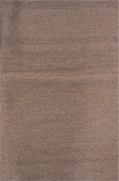 Vintage Kilim Area Rug (5' x 8')