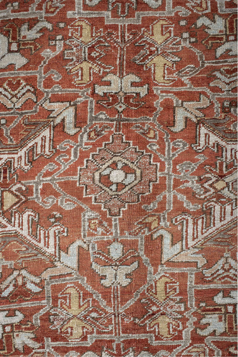 Antique Area Rug (8' x 10')