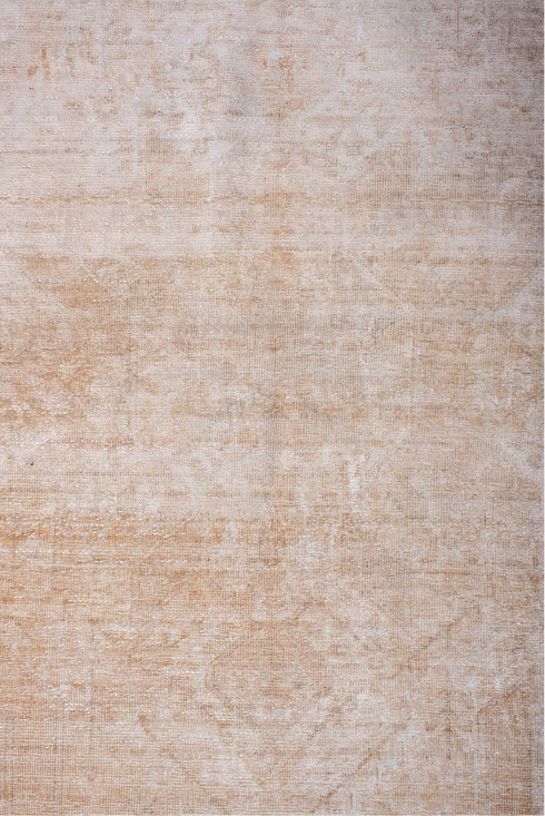 Antique Kaisary Area Rug (4' x 6')