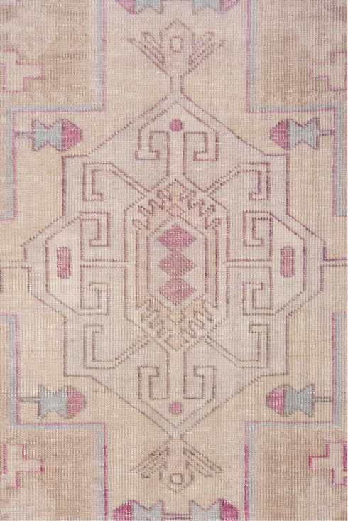 Antique Runner Rug (3' x 10')