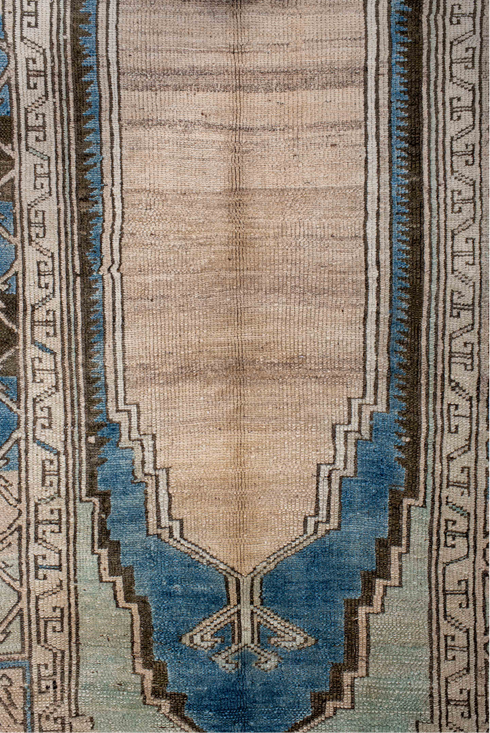 Antique Anatol Area Rug (2' x 4')