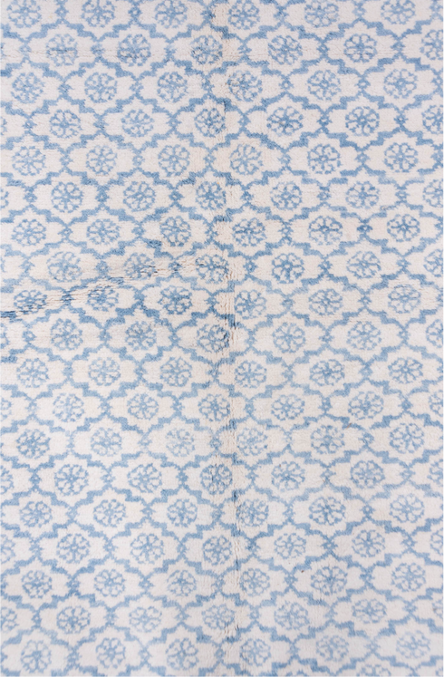 Vintage Cotton Agra Area Rug (6' x 9')