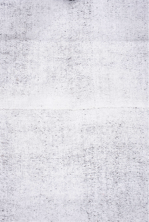 Antique Flatweave Area Rug (10' x 12')