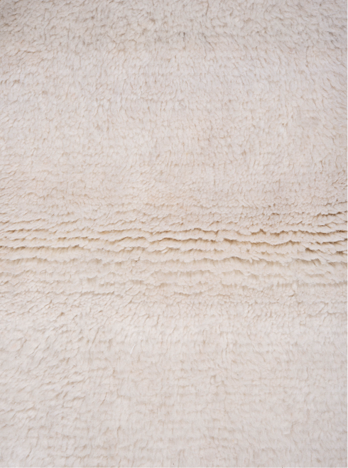 Vintage Shag Area Rug (3' x 5')