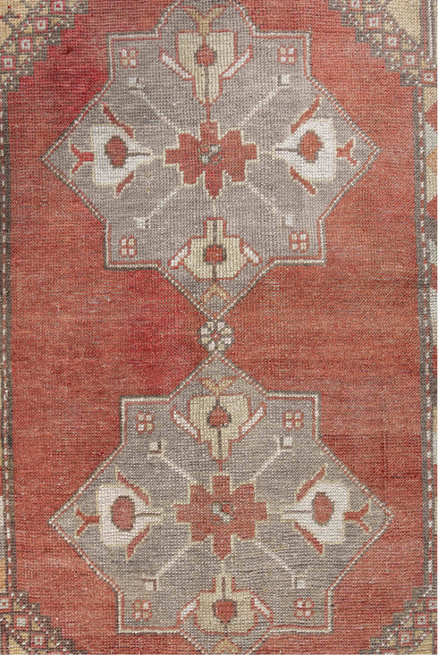 Antique Anatol Area Rug (3' x 6')
